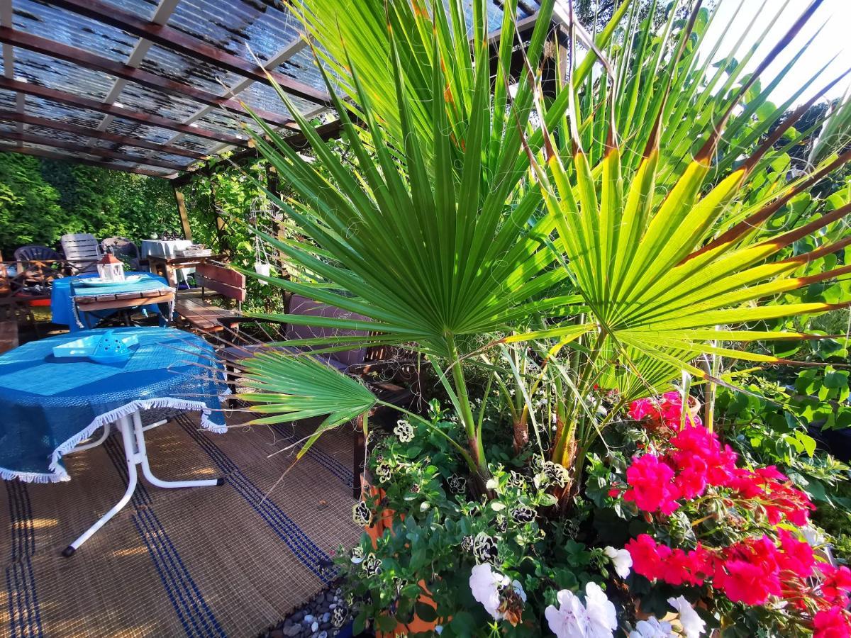 Ferienhaus Mit Riesen Garten, Drei Terrassen, Toller Aussicht Am Waldrand, Auch Als Monteur-Wohnung Hemer Buitenkant foto